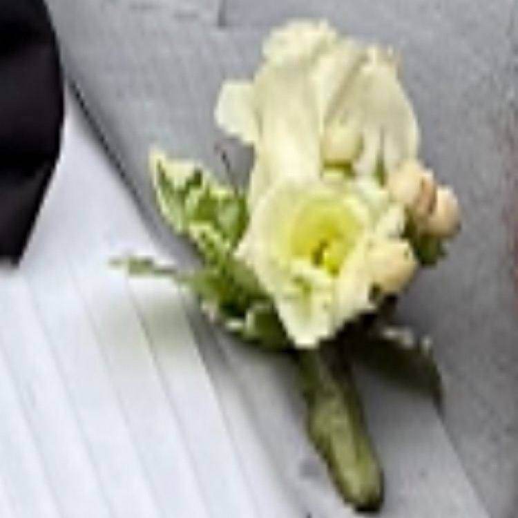 ARRANGED florals — Everything Within Me